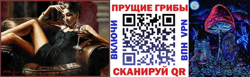 kraken как войти  это наркотические препараты  Псилоцибиновые грибы GOLDEN TEACHER  Болохово 